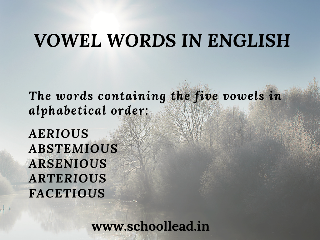 vowel-words-in-english-language-school-lead