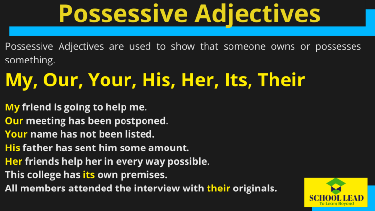 Possessive Adjectives School Lead 