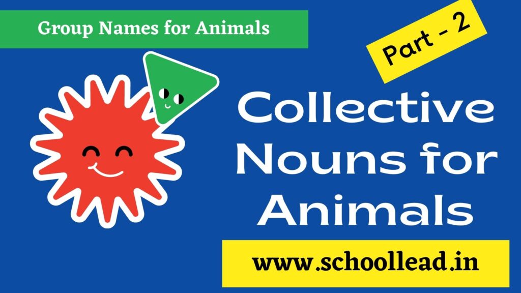 Collective Nouns for Animals