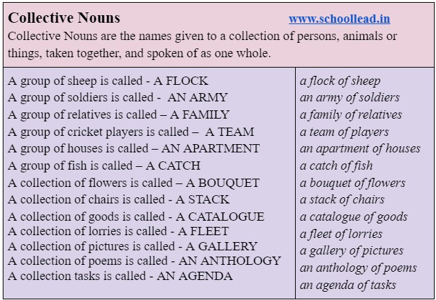 Collective Nouns - The Noun - School Lead