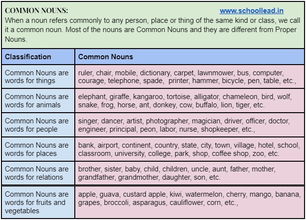 Common Nouns The Noun School Lead