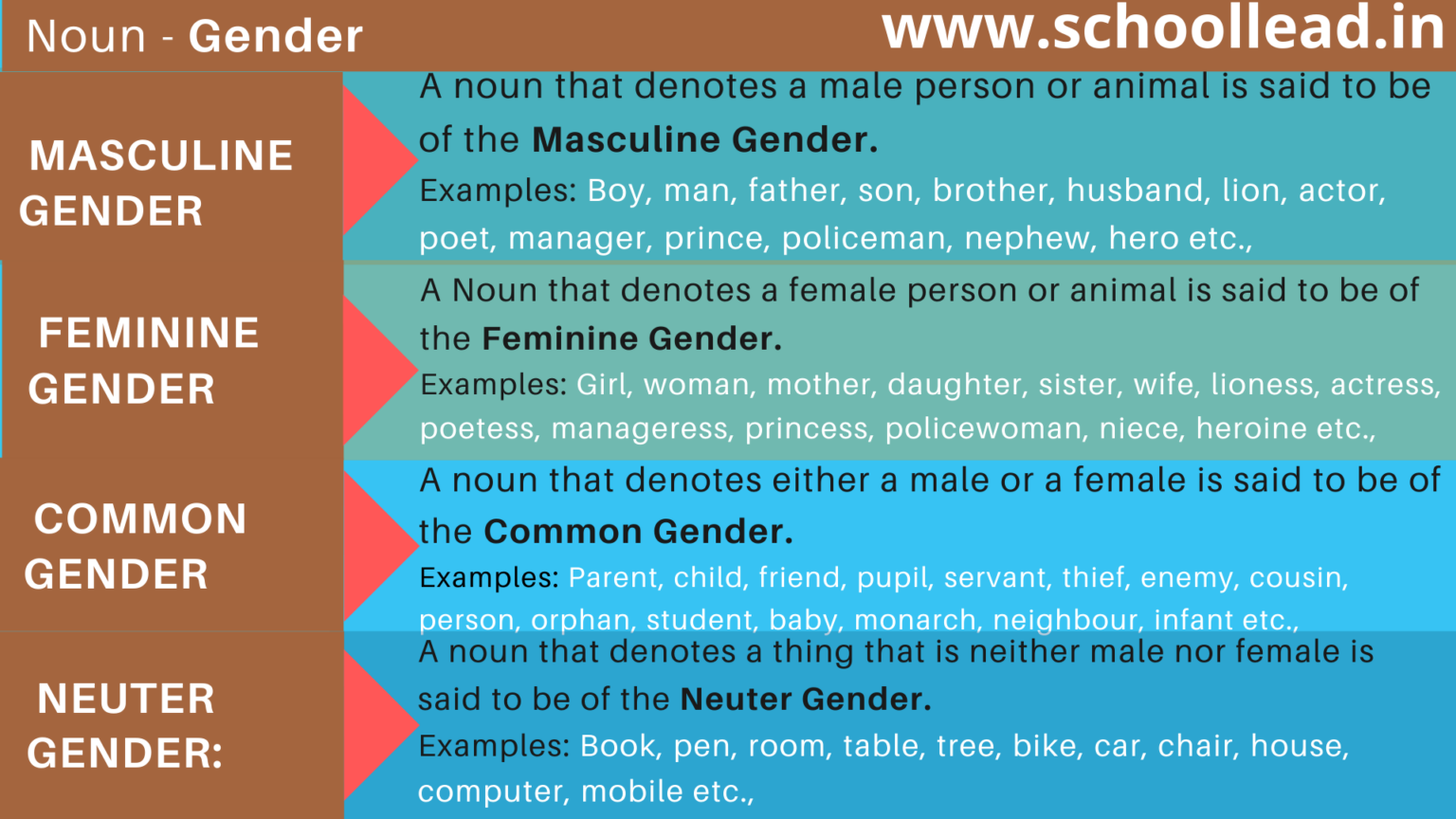 Gender Of The Noun School Lead 5935