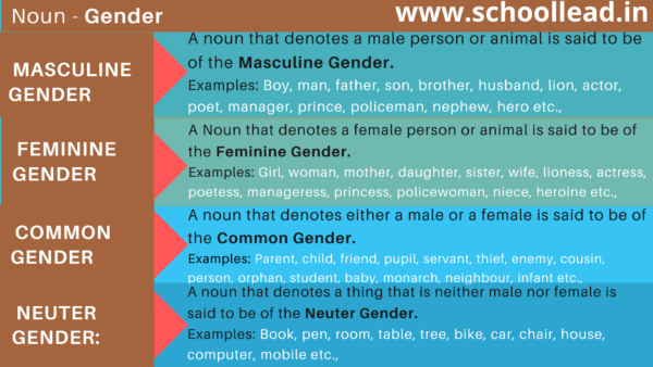 Gender of the Noun - School Lead