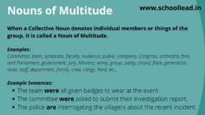 Nouns of Multitude - School Lead