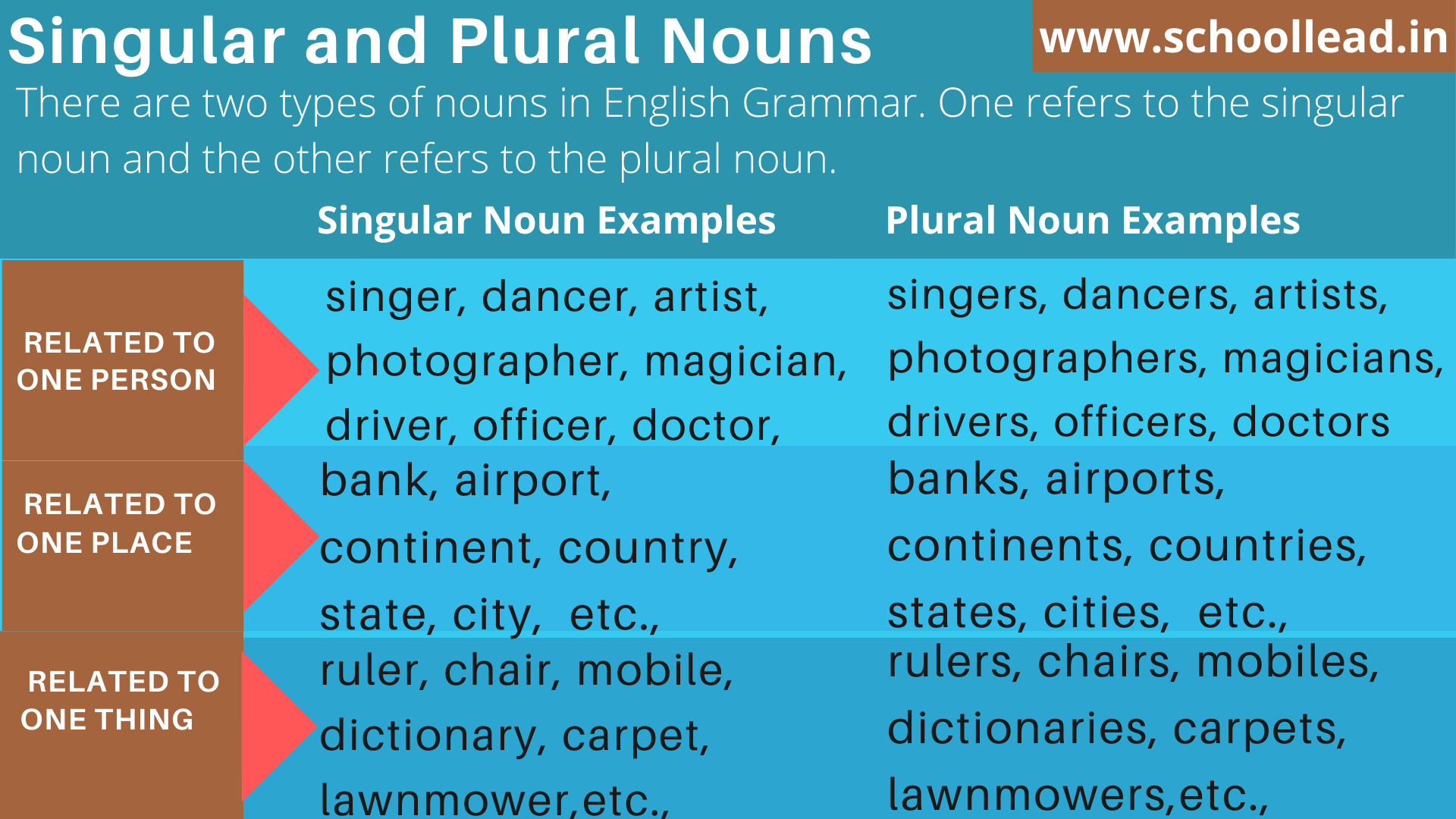 Singular And Plural Nouns School Lead