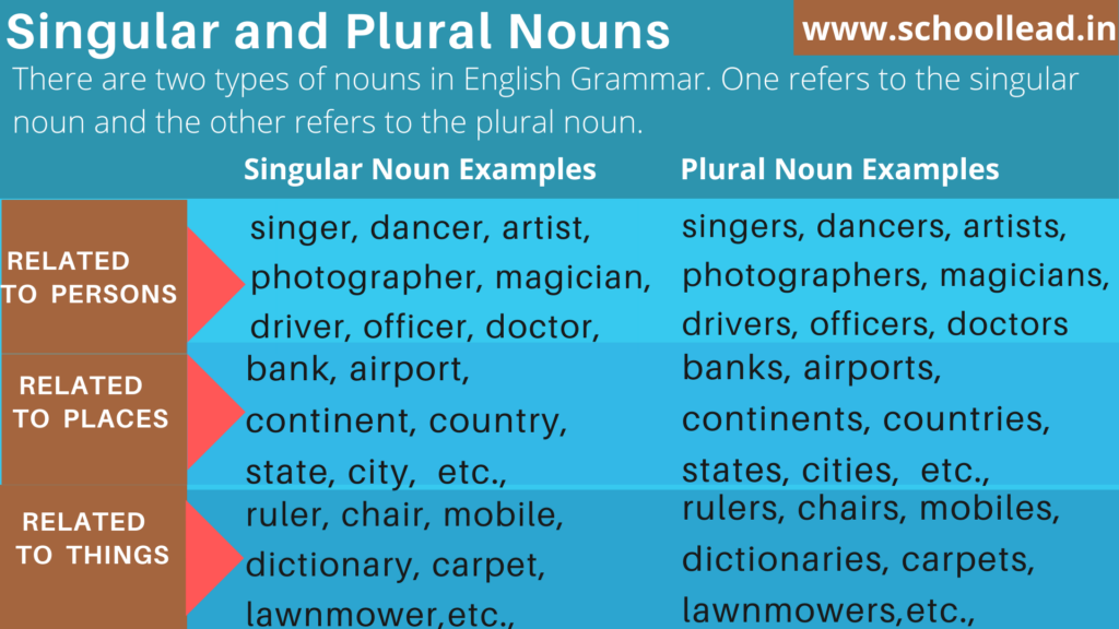 Singular Nouns Definition Examples And List Atelier yuwa ciao jp