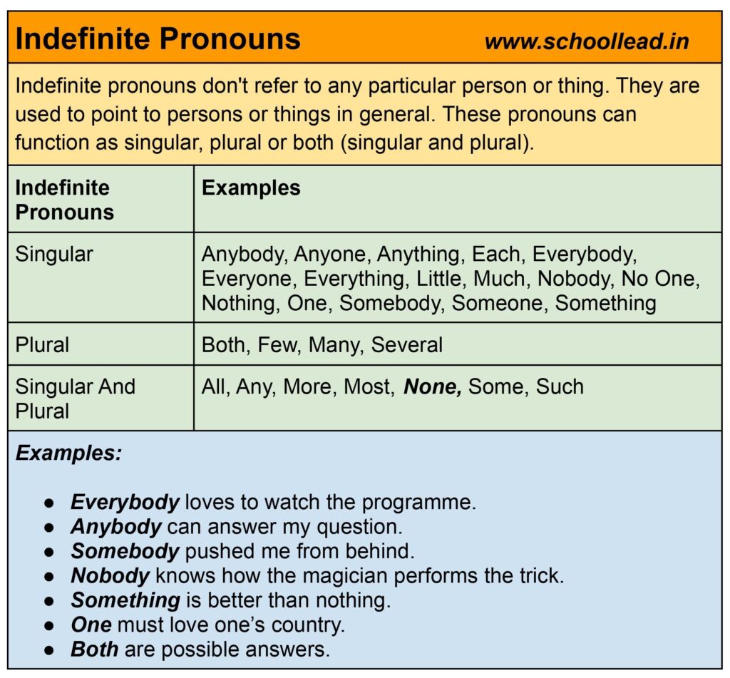 Indefinite Pronouns School Lead