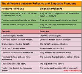 Reflexive and Emphatic Pronouns - School Lead