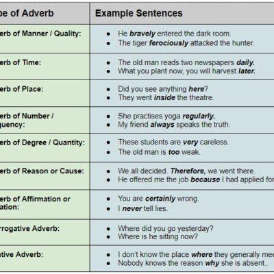 The Noun - Case - The Noun - School Lead